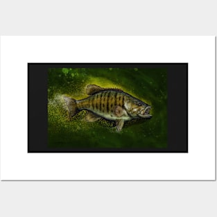 The Smallmouth Bass Posters and Art